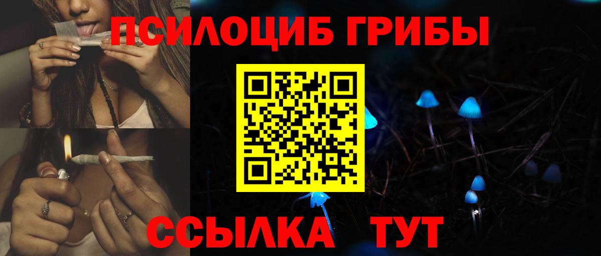 Ростов-на-Дону  Галлюциногенные грибы Psilocybe  Вход с VPN  Псилоцибиновые грибы Cubensis 